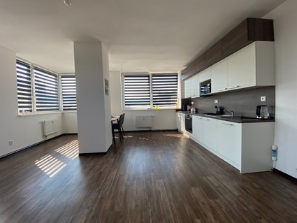 Rezidence - Hradební moderní bydlení v UL byt 3kk - Fotka 9
