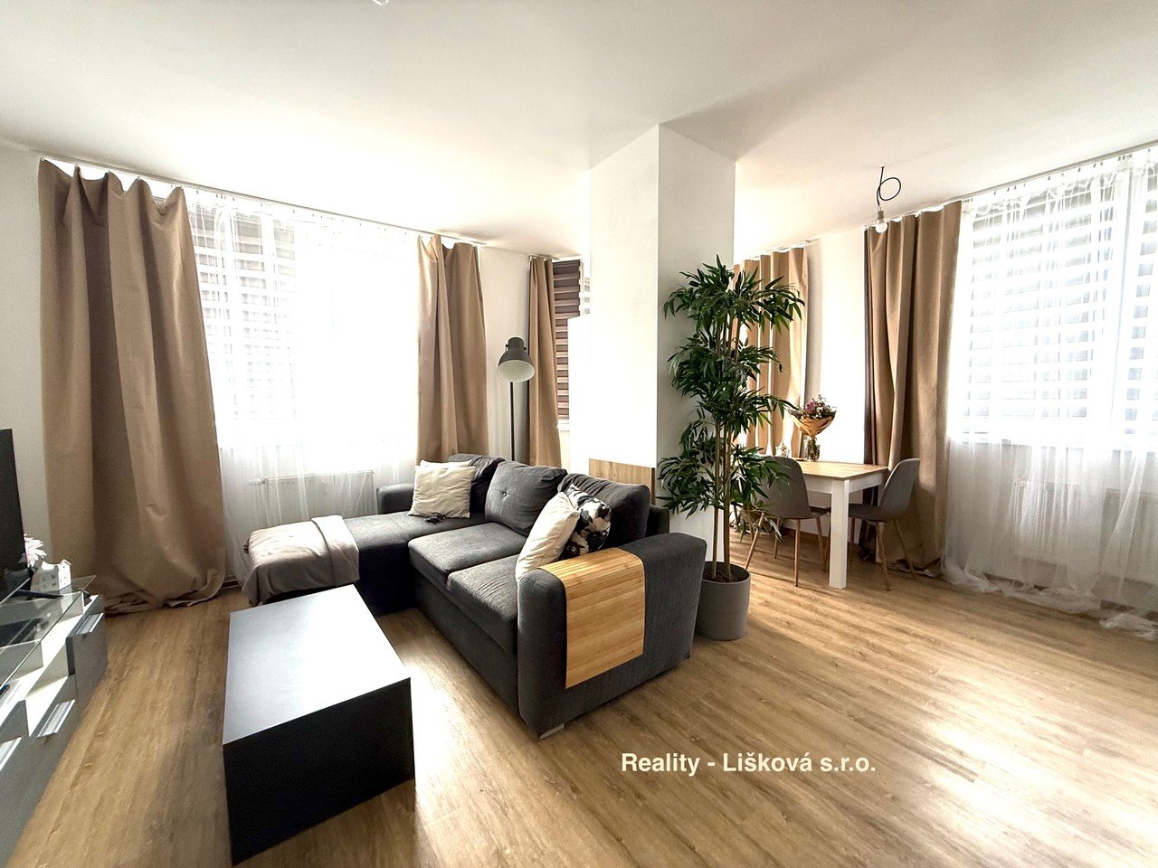 tn_zoom_filename_34713